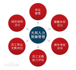 鄭州社保公積金代理、勞務派遣與人事外包服務全解析