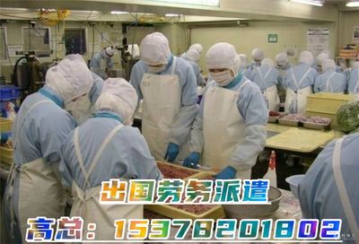 揭秘高薪出國勞務 建筑工、廚師、司機、普工年薪40萬起如何實現